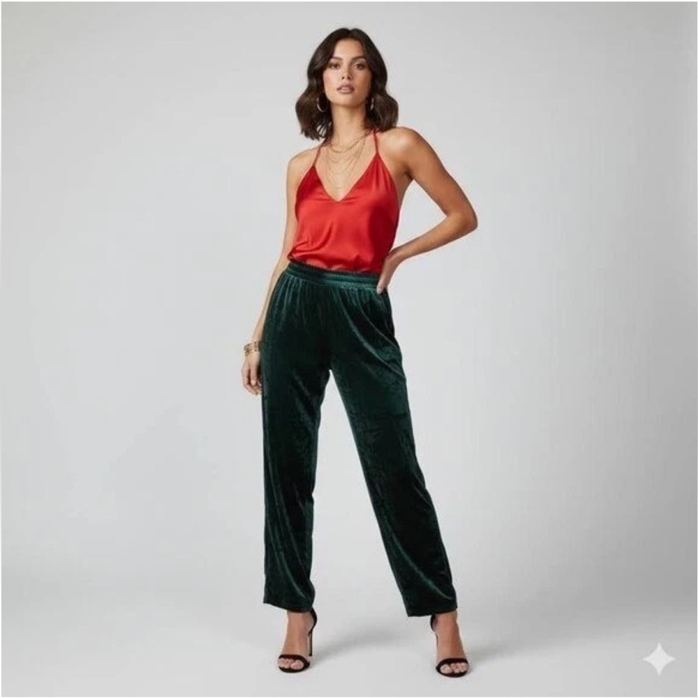 WAYF Women’s Wide Leg Velvet Trouser Pant in Emerald Green Size M pockets
